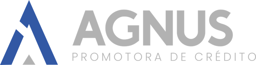 logo agnus